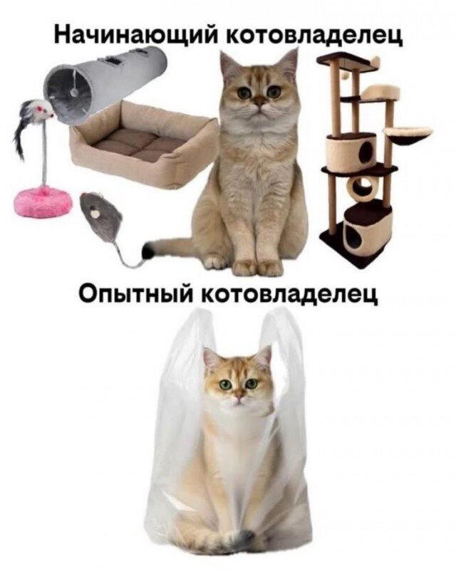 Пятнишкой прекрасной дички