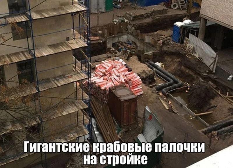 Пятнишкой прекрасной дички