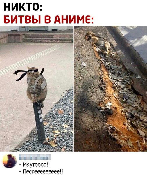 Пятнишкой прекрасной дички