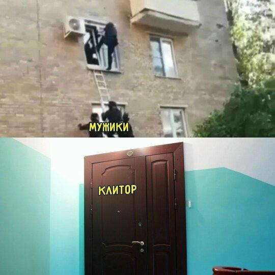 Пятнишкой прекрасной дички