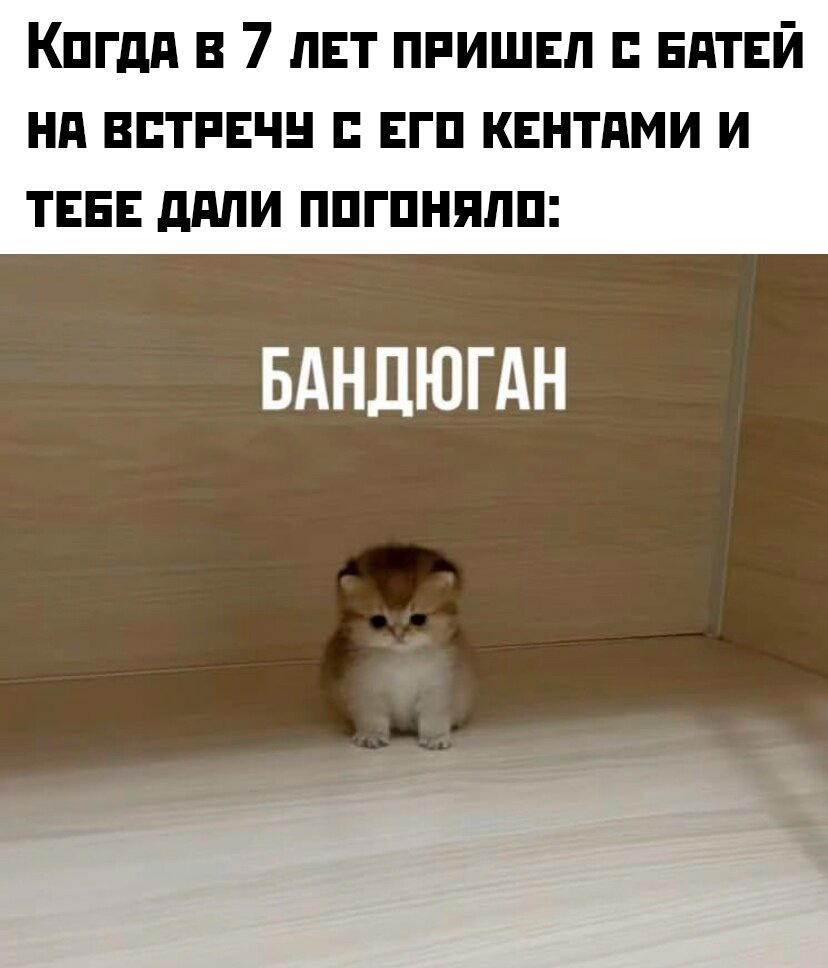 Пятнишкой прекрасной дички
