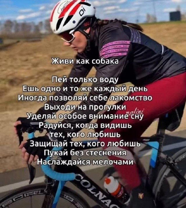 Пятнишкой прекрасной дички