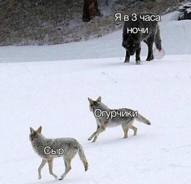 Пятнишкой прекрасной дички
