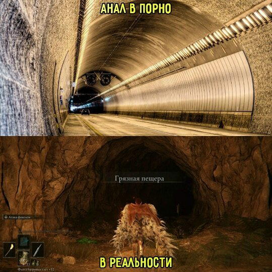 Дичка пятницы синичка