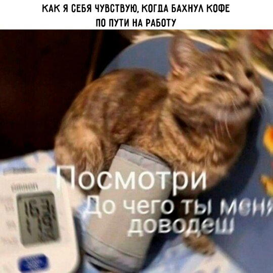 Дичка пятницы синичка