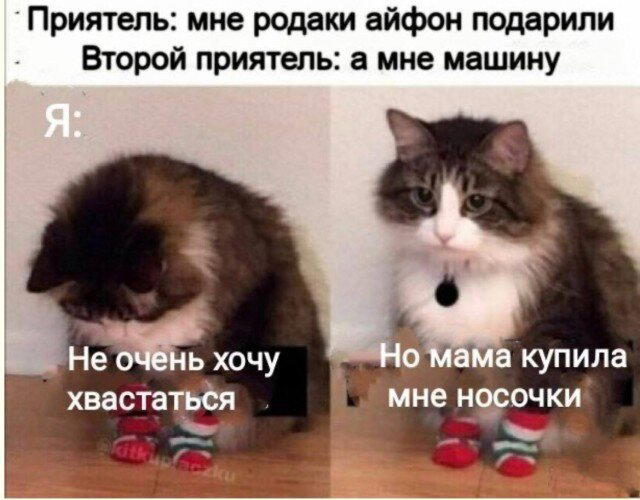 Дичка пятницы синичка