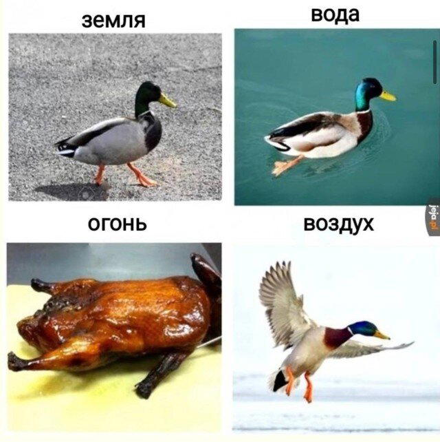 Дичка пятницы синичка