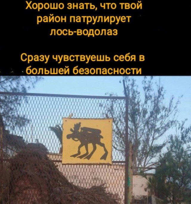 Дичка пятницы синичка