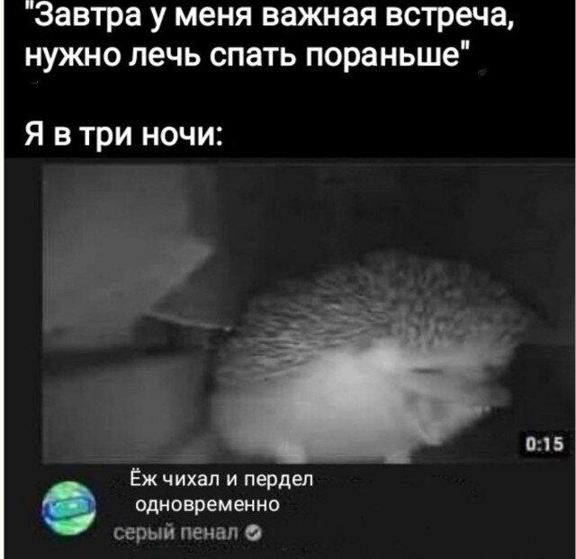 Дичка пятницы синичка