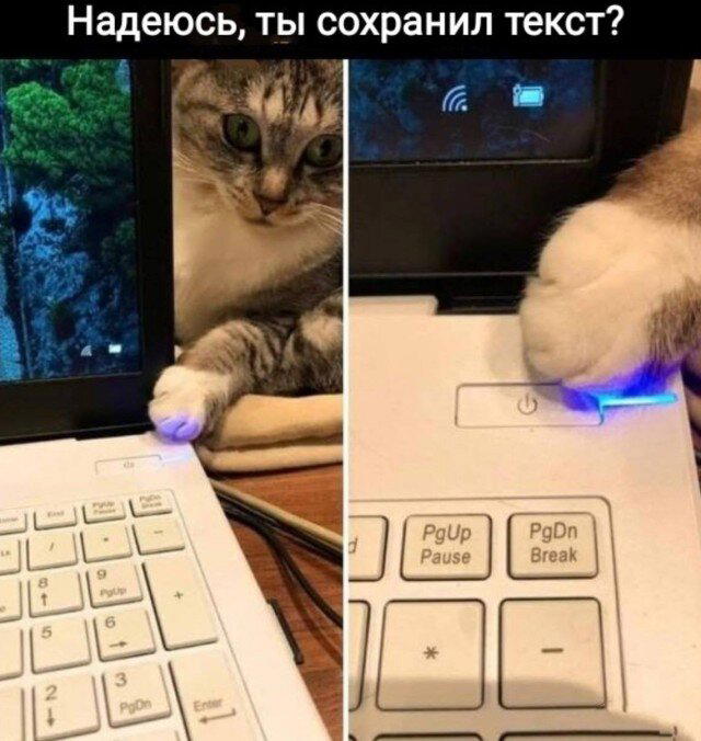 Дичка пятницы синичка