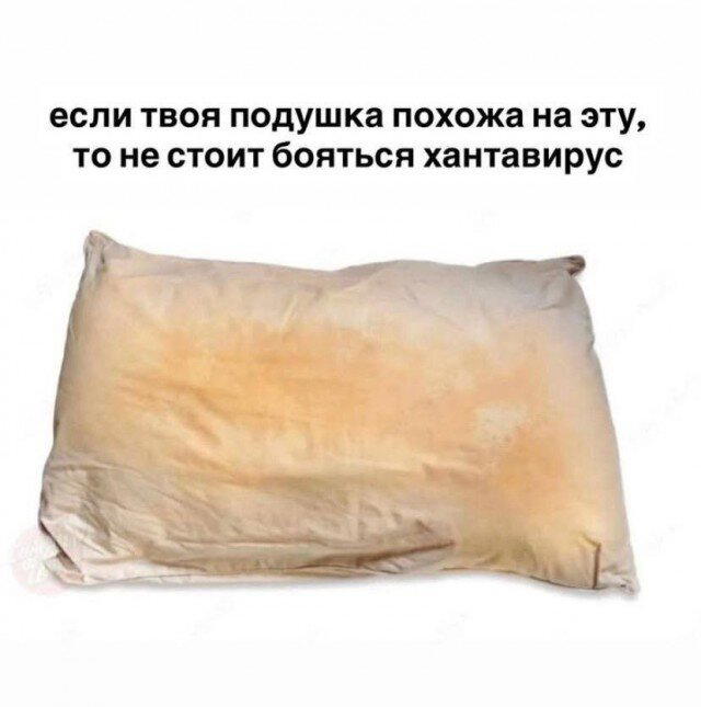 Дичка пятницы синичка