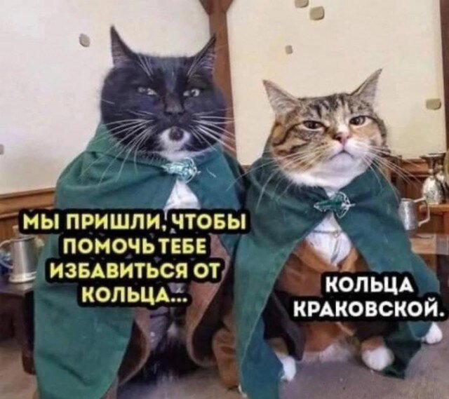 Дичка пятницы синичка