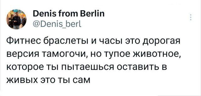 Дичка пятницы синичка