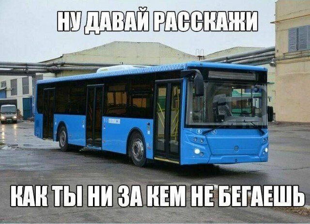 Дичка пятницы синичка