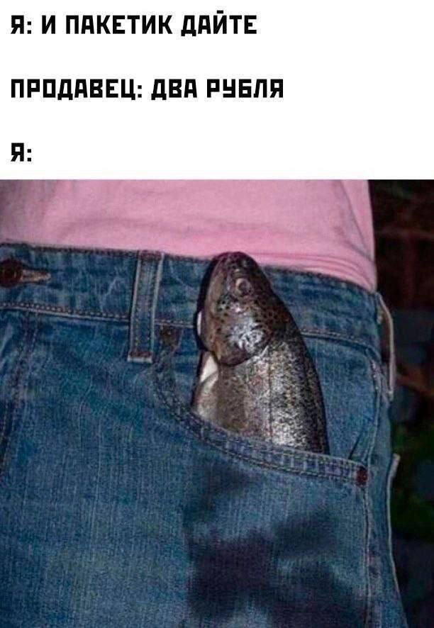 Дичка пятницы синичка