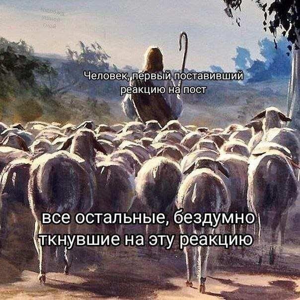 Дичка пятницы синичка