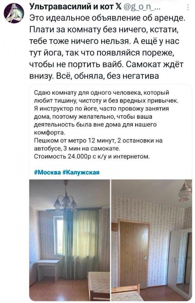 Дичка пятницы синичка