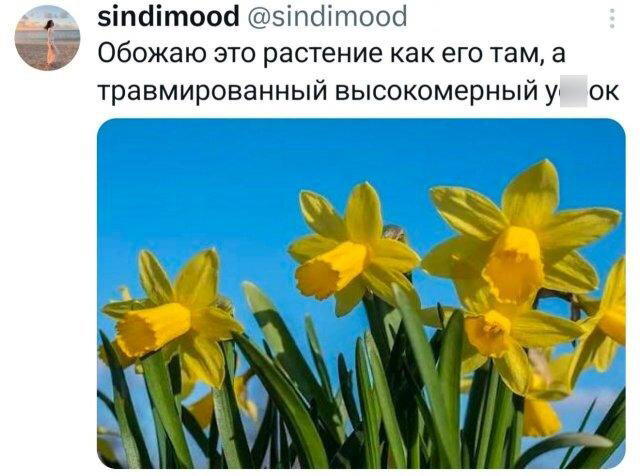 Дичка пятницы синичка