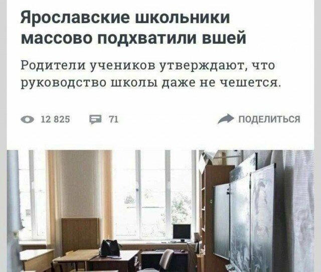 Дичка пятницы синичка