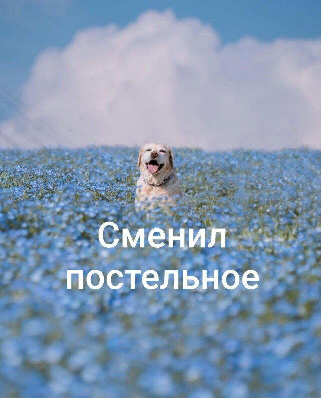 Дичка пятницы синичка