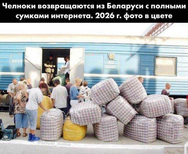 Дичка радости несет