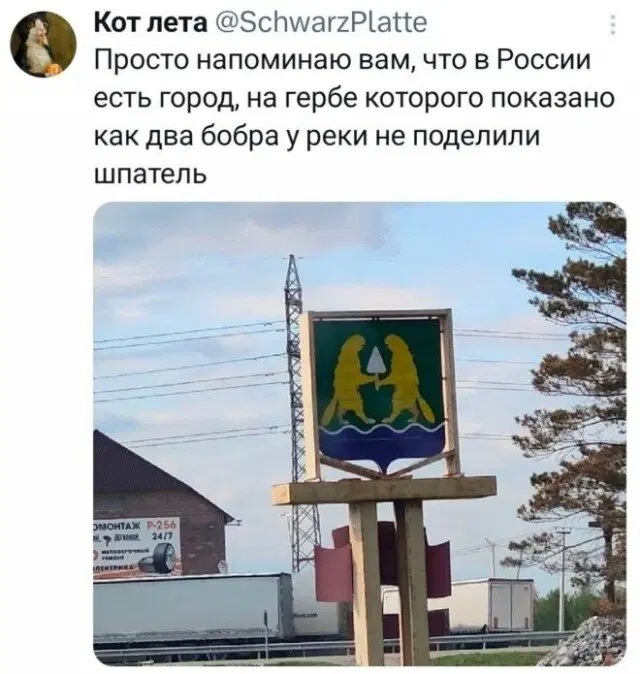 Дичка радости несет