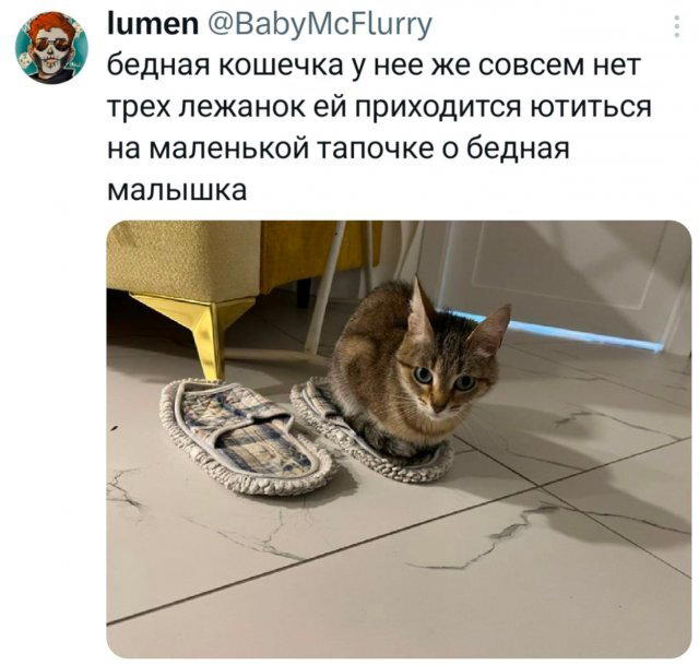 Дичка радости несет