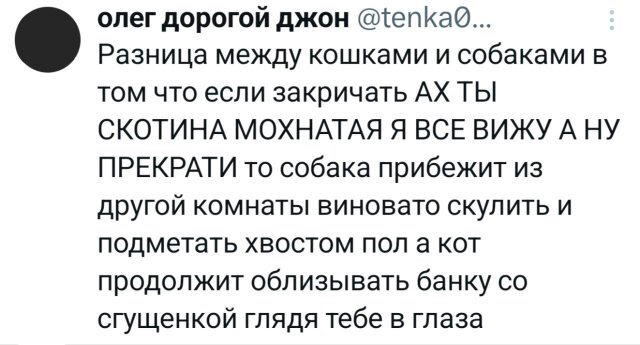 Дичка радости несет