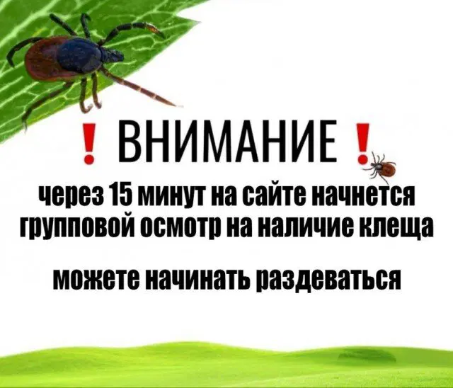 Дичка радости несет