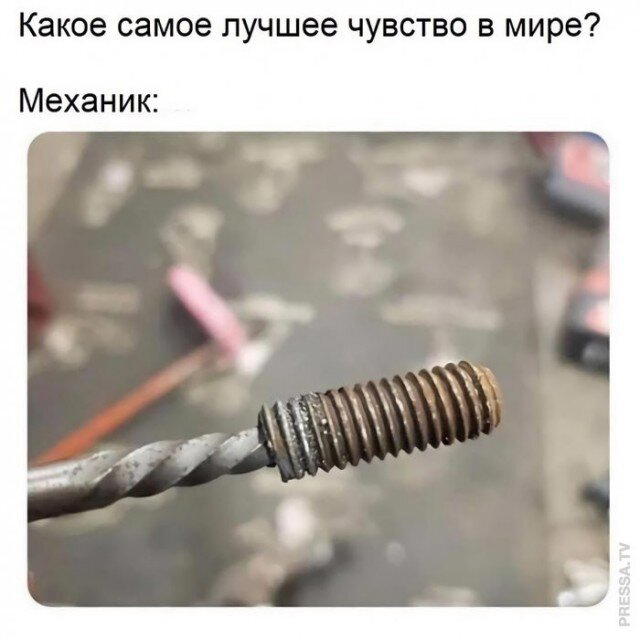 Дичка радости несет