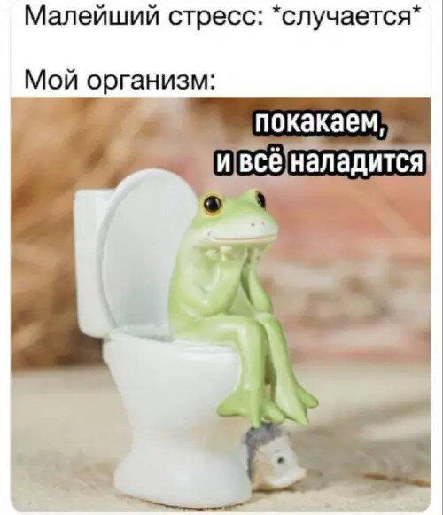 Дички как утром птички