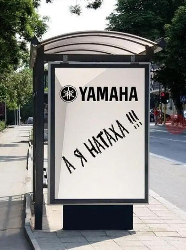 Дички как утром птички