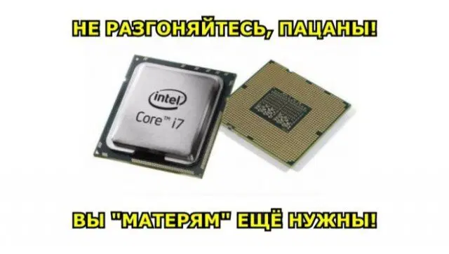 Дички как утром птички