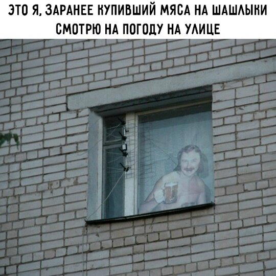 Дички как утром птички