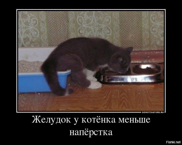Насобирал тутъ...