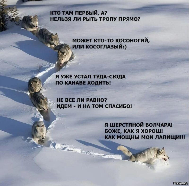 Насобирал тутъ...