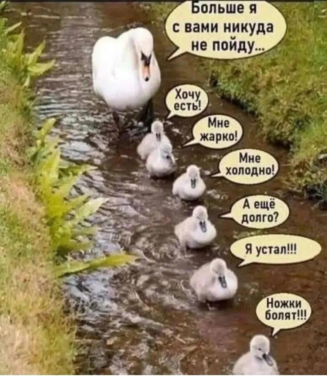 Насобирал тутъ...