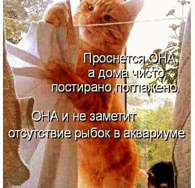 Насобирал тутъ...
