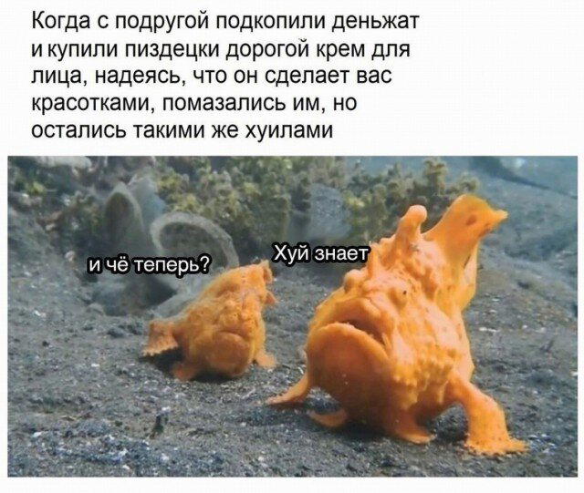 Доброй прекрасной недели, с маленькой щепотью дички