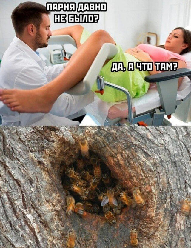 Доброй прекрасной недели, с маленькой щепотью дички