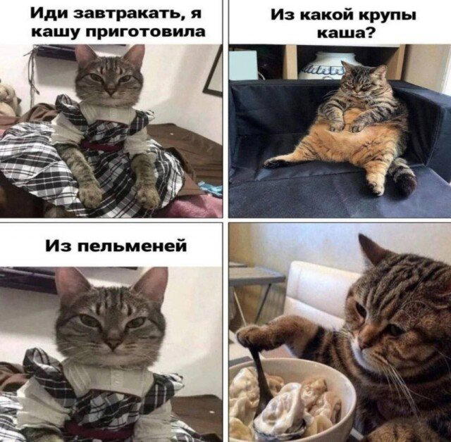 Доброй прекрасной недели, с маленькой щепотью дички