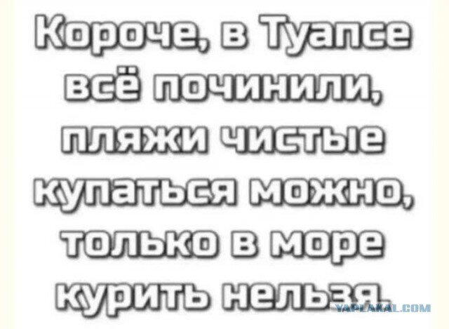 Дички в вечер, как пончик в ночь