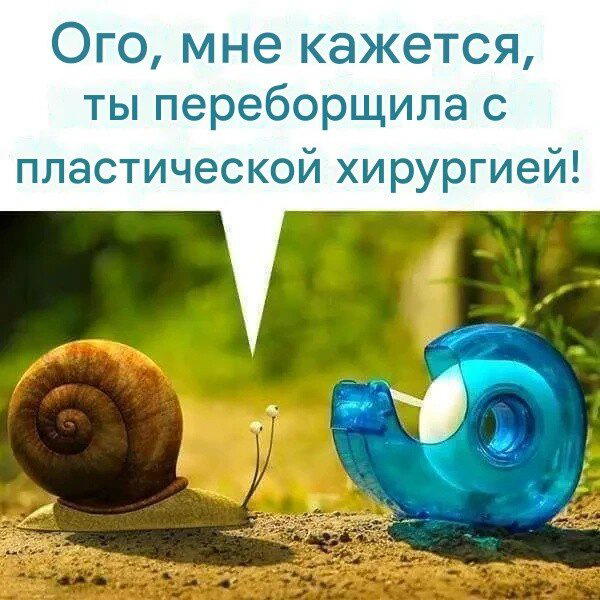 Дички в вечер, как пончик в ночь