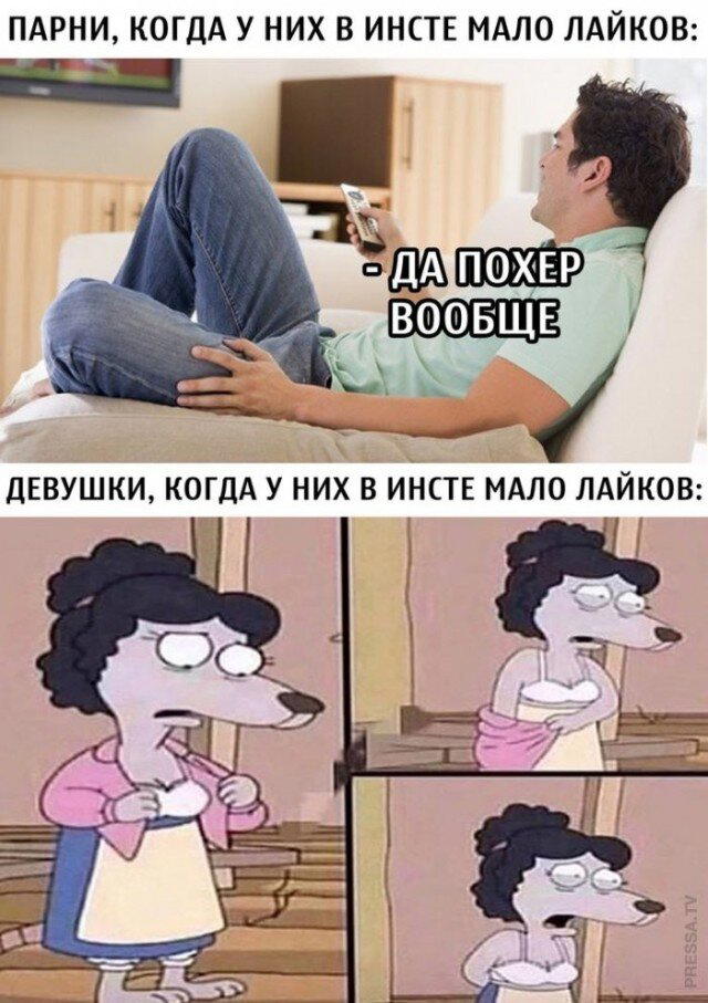 Дички в вечер, как пончик в ночь