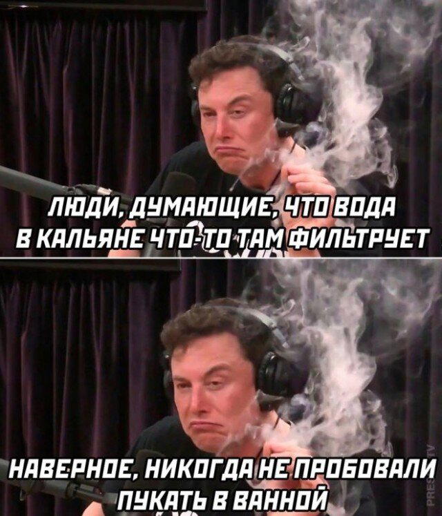 Дички в вечер, как пончик в ночь