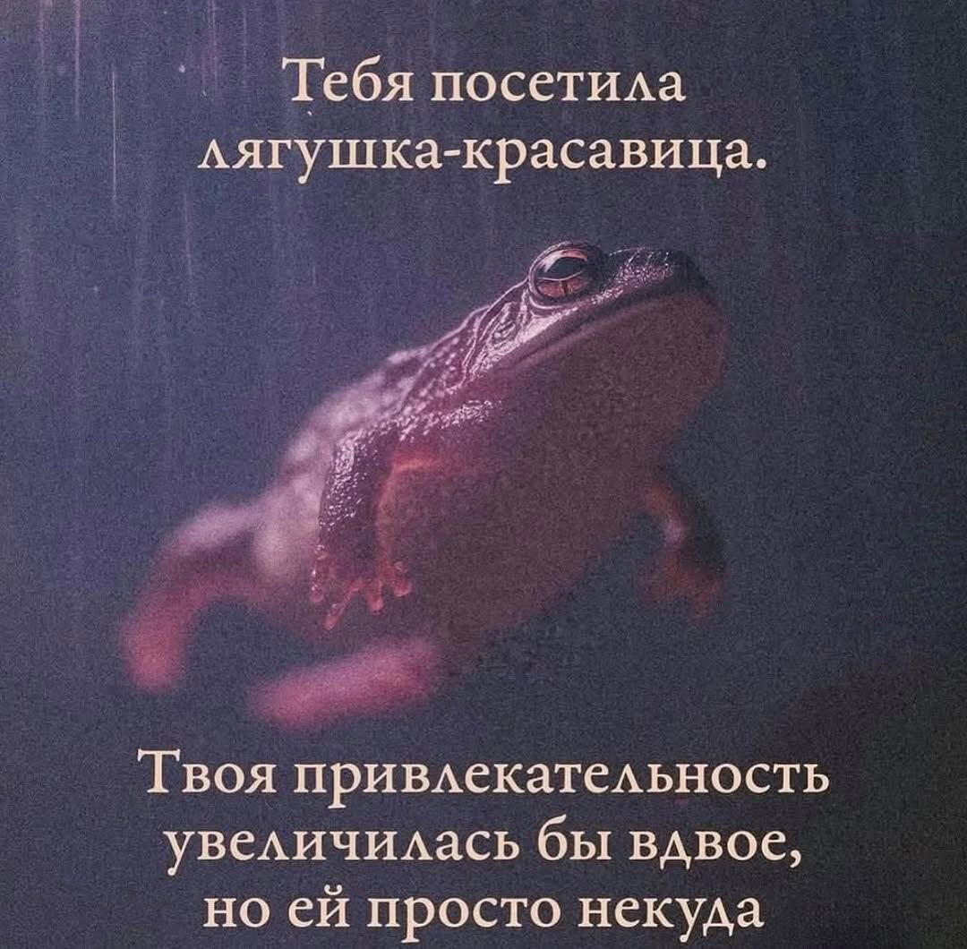 Дички в вечер, как пончик в ночь