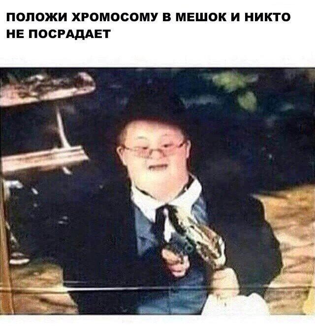 Дички в вечер, как пончик в ночь