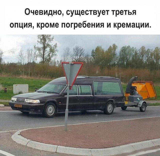 Дички в вечер, как пончик в ночь