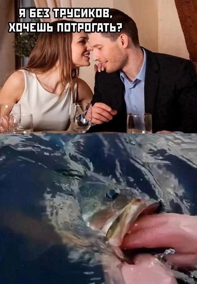 Дички в след