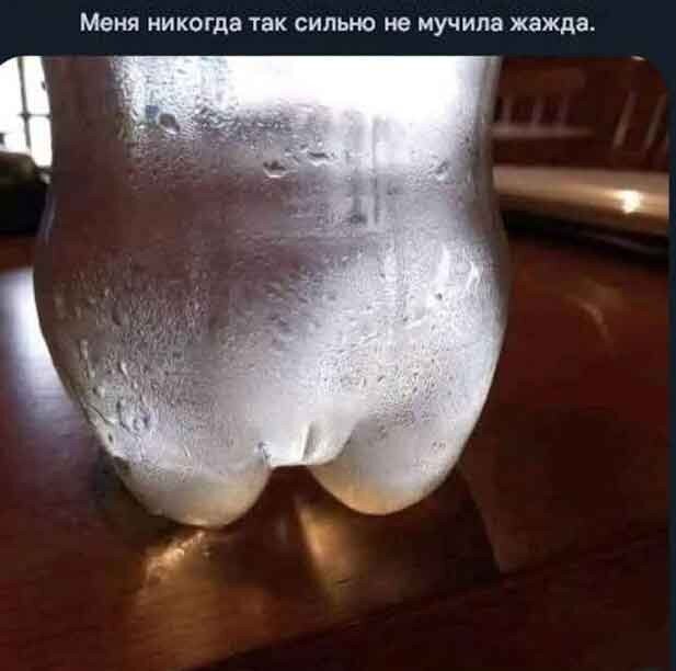Дички в след